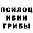 Псилоцибиновые грибы Psilocybe Igor Chaykovskiy
