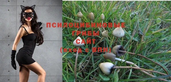 синтетический гашиш Корсаков