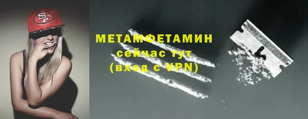 сатива Коряжма