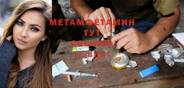 сатива Коряжма
