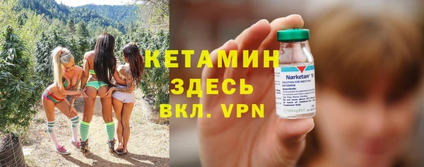 сатива Коряжма