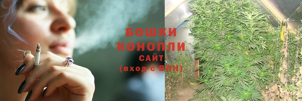 сатива Коряжма