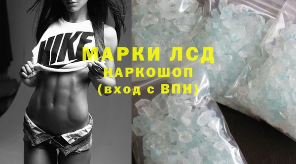 сатива Коряжма