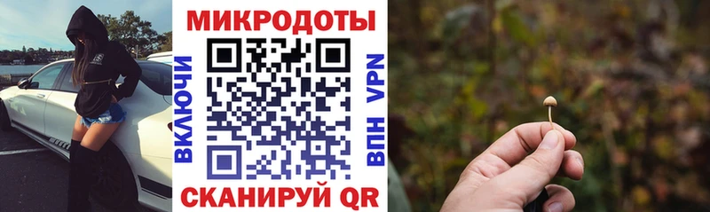 Купить закладки  Новый Оскол  Галлюциногенные грибы прущие грибы 